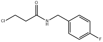 3-CHLORO-N-(4-FLUORO-BENZYL)-PROPIONAMIDE Structure