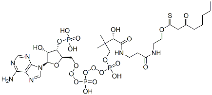 S-[2-[3-[[4-[[[(2R,3S,4R,5R)-5-(6-aminopurin-9-yl)-4-hydroxy-3-phosphonooxyoxolan-2-yl]methoxy-hydroxyphosphoryl]oxy-hydroxyphosphoryl]oxy-2-hydroxy-3,3-dimethylbutanoyl]amino]propanoylamino]ethyl] 3-oxooctanethioate 구조식 이미지