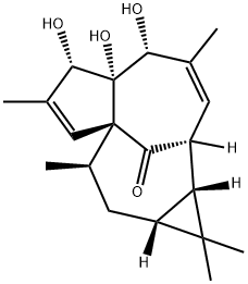 20-DEOXYINGENOL 구조식 이미지