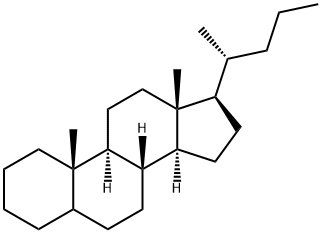 cholane Structure