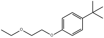 1-tert-Butyl-4-(2-ethoxyethoxy)benzene Structure