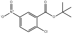 TERT-BUTYL 2-CHLORO-5-NITROBENZOATE Structure