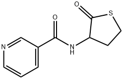 homocysteine-thiolactone-nicotinamide Structure