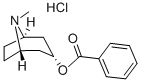 엔도-트로파코카인(8-METHYL-8-AZABICYCLO[3.2.1]OCT-3-YL)벤조에이트HCL 구조식 이미지
