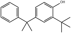 2-(1,1-dimethylethyl)-4-(1-methyl-1-phenylethyl)phenol 구조식 이미지