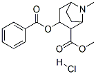8-아자비시클로[3.2.1]옥탄-2-카르복실산,3-(벤조일옥시)-8-메틸-,메틸에스테르,염산염,(exo,exo)-(+-)- 구조식 이미지
