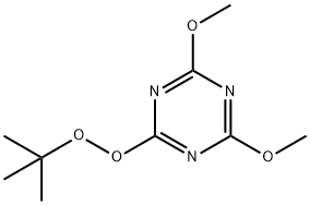2-(tert-butyldioxy)-4,6-dimethoxy-1,3,5-triazine Structure
