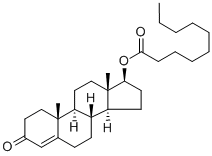5721-91-5 Testosterone decanoate