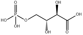 4-Phospho D-Erythronate Structure