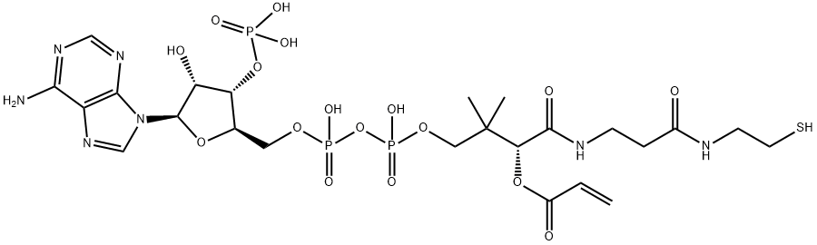 S-[2-[3-[[4-[[[(2R,3S,4R,5R)-5-(6-aminopurin-9-yl)-4-hydroxy-3-phosphonooxyoxolan-2-yl]methoxy-hydroxyphosphoryl]oxy-hydroxyphosphoryl]oxy-2-hydroxy-3,3-dimethylbutanoyl]amino]propanoylamino]ethyl] prop-2-enethioate 구조식 이미지