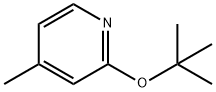 2-tert-Butoxy-4-methylpyridine Structure