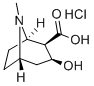 ECGONIN HCL Structure