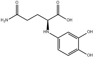 GDHB Structure