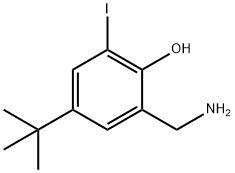 2-aminomethyl-4-t-butyl-6-iodophenol 구조식 이미지