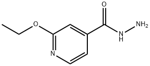 4-Pyridinecarboxylicacid,2-ethoxy-,hydrazide(9CI) Structure