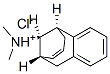 (5alpha,9alpha,11R*)-dimethyl[5,6,9,10-tetrahydro-5,9-methanobenzocycloocten-11-yl]ammonium chloride 구조식 이미지