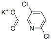 potassium 3,6-dichloropyridine-2-carboxylate 구조식 이미지