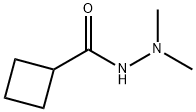 Cyclobutanecarboxylic acid, 2,2-dimethylhydrazide (9CI) Structure