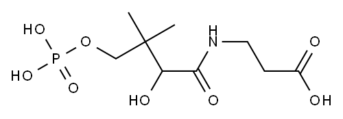 phosphopantothenic acid 구조식 이미지