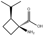 Cyclobutanecarboxylic acid, 1-amino-2-(1-methylethyl)-, (1S,2S)- (9CI) Structure