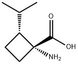 시클로부탄카르복실산,1-아미노-2-(1-메틸에틸)-,(1R,2R)-(9CI) 구조식 이미지