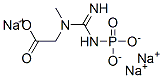 sodium N-[imino(phosphonoamino)methyl]-N-methylaminoacetate Structure