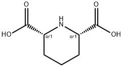 CIS-2,6-피페리딘디카르복실산 구조식 이미지