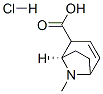 (1R)-8-methyl-8-azabicyclo[3.2.1]oct-3-ene-2-carboxylic acid hydrochloride  구조식 이미지