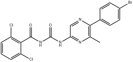 EL 494 Structure