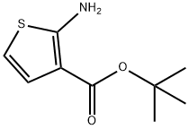 2-AMINOTHIOPHENE-3-CARBOXYLIC ACID T-BUTYL ESTER Structure