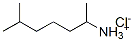 5984-59-8 (1,5-dimethylhexyl)ammonium chloride