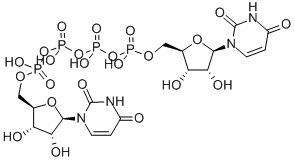 Diquafosol 구조식 이미지