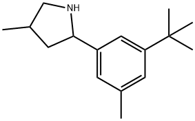 Pyrrolidine, 2-[3-(1,1-dimethylethyl)-5-methylphenyl]-4-methyl- (9CI) 구조식 이미지