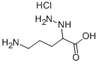 5-AMINO-2-HYDRAZINOPENTANOIC ACID HYDROCHLORIDE Structure
