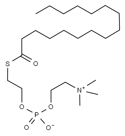 2-HEXADECANOYLTHIO-1-ETHYLPHOSPHORYLCHOLINE 구조식 이미지