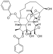 gnidimacrin Structure