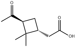 [(1R,3S)-2,2-Dimethyl-3-acetylcyclobutyl]acetic acid 구조식 이미지