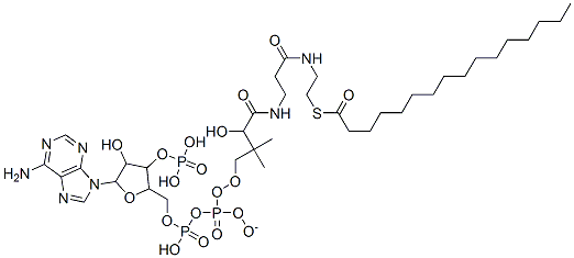 [5-(6-aminopurin-9-yl)-4-hydroxy-3-phosphonooxyoxolan-2-yl]methyl [[4-[[3-(2-hexadecanoylsulfanylethylamino)-3-oxopropyl]amino]-3-hydroxy-2,2-dimethyl-4-oxobutoxy]-oxidophosphoryl] phosphate 구조식 이미지