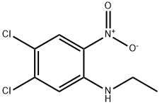 4,5-dichloro-N-ethyl-2-nitroaniline 구조식 이미지