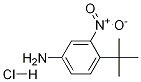 4-tert-부틸-3-니트로-페닐아민염산염 구조식 이미지