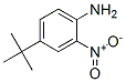 4-TERT-부틸-2-니트로아닐린 구조식 이미지