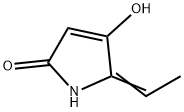 2H-Pyrrol-2-one,5-ethylidene-1,5-dihydro-4-hydroxy-(9CI) 구조식 이미지