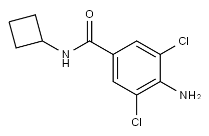 4-Amino-N-cyclobutyl-3,5-dichlorobenzamide 구조식 이미지