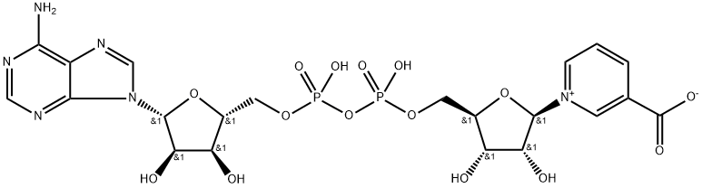 Nicotinic Acid Adenine Dinucleotide Structure