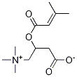3-Methylcrotonyl L-Carnitine 구조식 이미지
