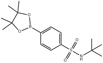 4-(TERT-BUTYLAMINO)술포닐페닐보론산피나콜에스테르 구조식 이미지