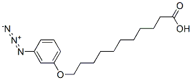 omega-(3-azidophenoxy)undecanoic acid 구조식 이미지