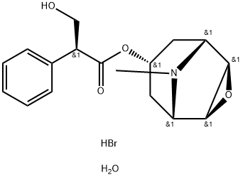 6533-68-2 Scopolamine Hydrobromide Trihydrate