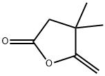 4,4-디메틸-5-메틸렌-감마-부티로락톤 구조식 이미지