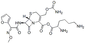 cefuroxime lysine Structure